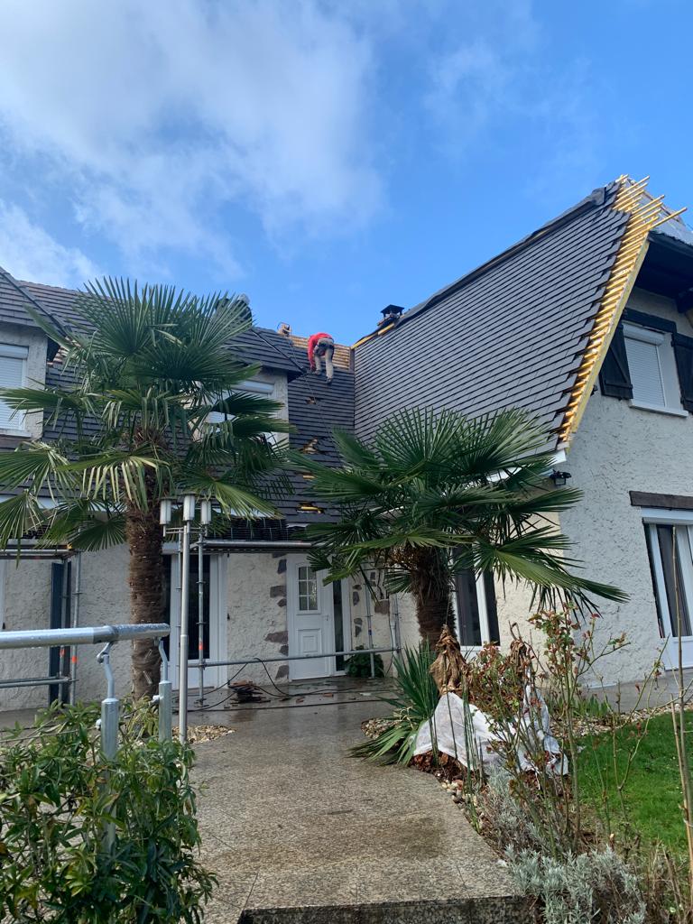 Grand chien assis - rénovation toiture