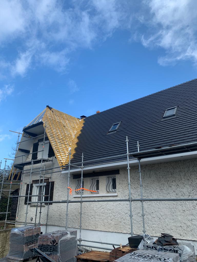 Grand chien assis - rénovation toiture