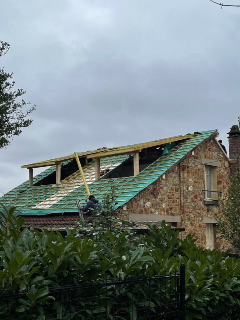 toiture  en cours de rénovation par couvreurs avec 2 grands chiens assis  