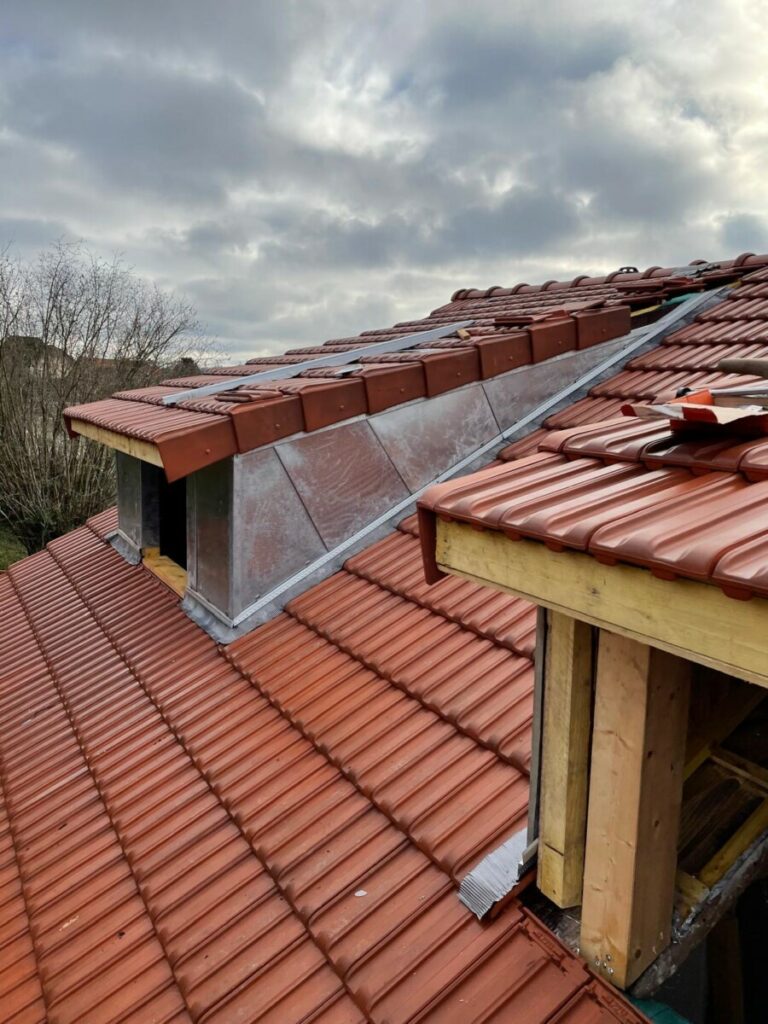 chien assis rénové côté en zinc avec la toiture rénovée elle aussi